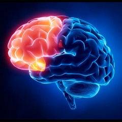 Cognitive Distortion