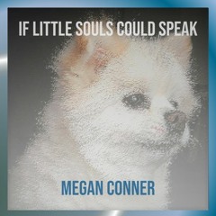 IF LITTLE SOULS COULD SPEAK (Animal Welfare Song) feat. Megan Conner (Pop Mix) ~  free download