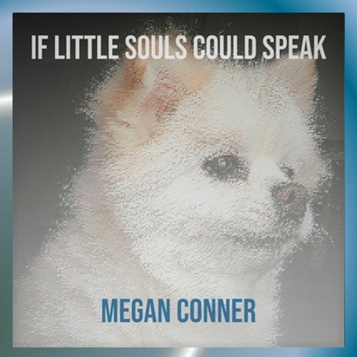 IF LITTLE SOULS COULD SPEAK (Animal Welfare Song) feat. Megan Conner (Pop Mix) ~  free download