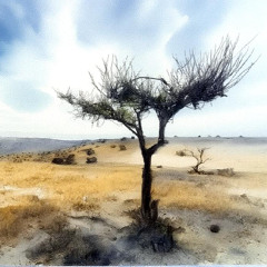 Heat Haze