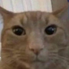 pequeño beat oriental