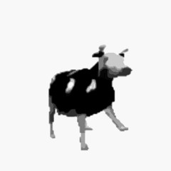 Polish Cow