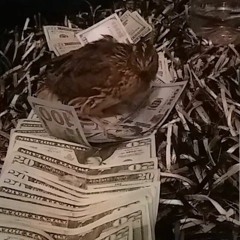 Kodak Chicken