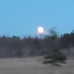 Volant Mayhem [mashup]