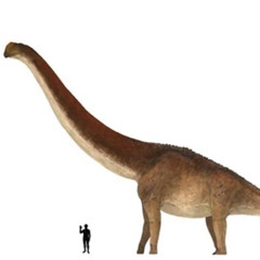 CHRO25018 - les premiers dinosaures