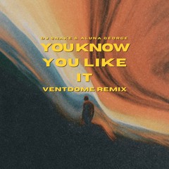 You Know You Like It (Ventdome Remix)
