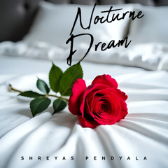 Nocturne Dream