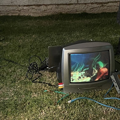 we'll never have sex by leith ross (cover)