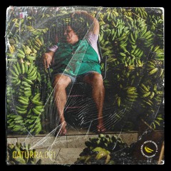 Caturra.001