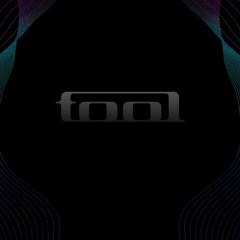 Tool - Sober (Vocal Cover)