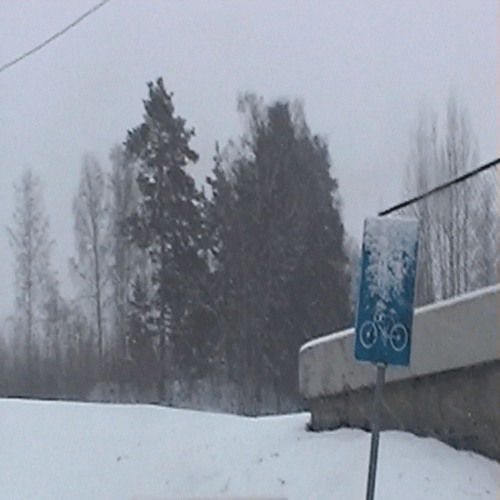 my little winter.