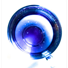 petri [100 FOLLOWERS FREE DL]