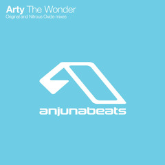 The Wonder (Extended Mix)