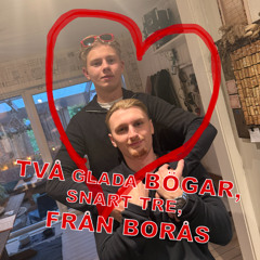Vi två... snart tre glada bögar från Borås
