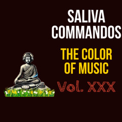 The Color Of Music Vol. XXX