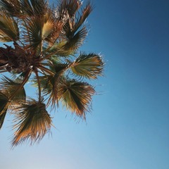 New & hot: Reggaeton