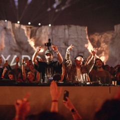 Lost Miracle | Yard 2025