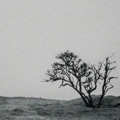 PREMIERE: Tys - Sofa Story [Simpler Times]