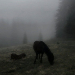 HORSE ➕ zinho ➕ maxx payn3 ➕ incccx