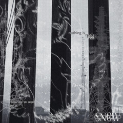 SNOWGRID 080825
