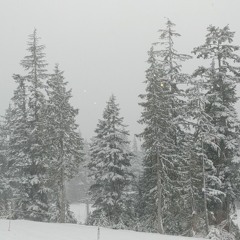 20211205 Auld Lang Syne Xms Hrmy Sngrs.m4a