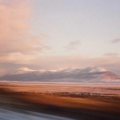 sting [streaming on all platforms]