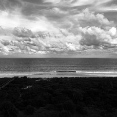 PALM COAST (Mix #1)