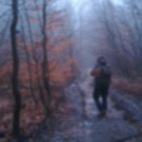 Psilotum - Endless Progression