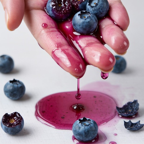 Blueberries in the Forest