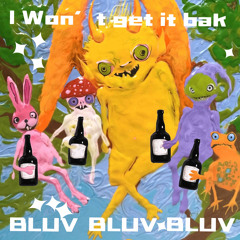 I won’t get it bak