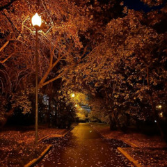 I Miss the Autumn Leaves