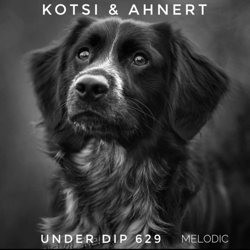 Kotsi & Ahnert UNDER DIP Ep 629 Melodic House & Techno (120bpm)