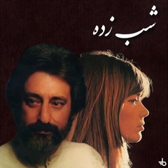 Shabzadeh