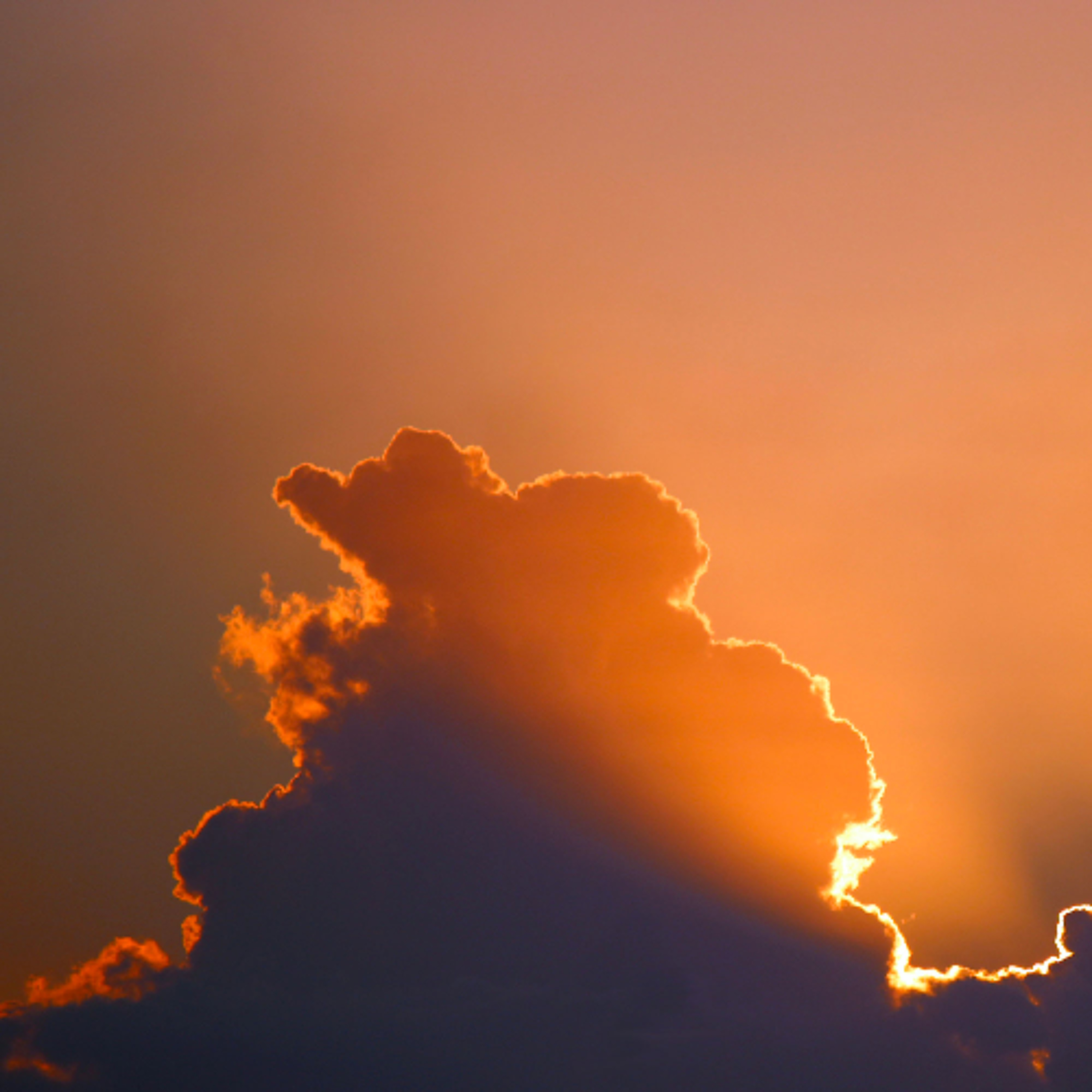 Associazione Kalyanamitta: Meditazione, Mindfulness, Buddhismo