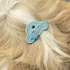 闖禍了啦北七 Ft.Mia