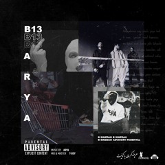 B13 - Arya
