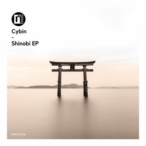 Cybin - Shinobi