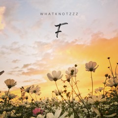 WhatKnotZzZ - F (Master By Baleksandar)