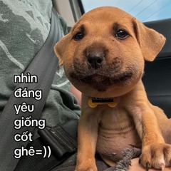 sorry bảo thy- Tuki mix✈️✈️