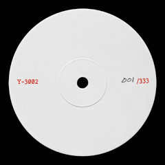 Y-3002