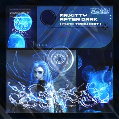Mr. Kitty - After Dark (Funk Tribu Edit)