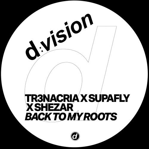 Going Back To My Roots (Radio Edit) [dvision]