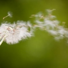 바람 BY WONDERLUST