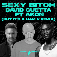 David Guetta Feat. Akon - Sexy Bitch (Liam V Remix)