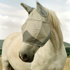 you were the chosen one.