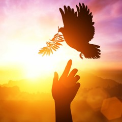 « J'ai déjà dit ! »