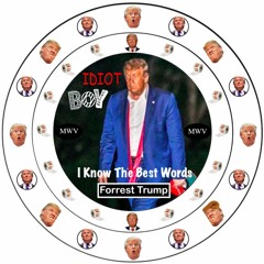 I KNOW THE BEST WORDS by FORREST TRUMP & the FOOLS ON CAPITOL HILL(inst.)