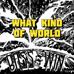What Kind of World (Groovy D's 99 Remix)