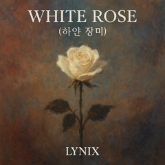White Rose (하얀 장미)