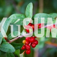 I Like Summer - Russell Wallace (featuring Emerson Gestrin)